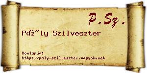 Pály Szilveszter névjegykártya